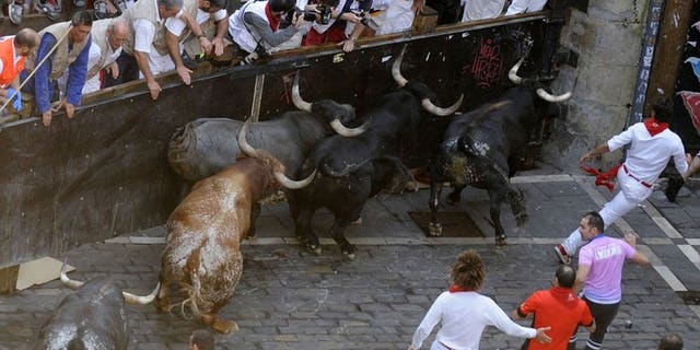 Participants run in front of bulls during the last bull run of the San Fermin Festival in Pamplona, northern Spain, on July 14, 2013. Spain's Pamplona bull-running fiesta has wrapped up with another five seriously injured, including an Australian woman who was gored, after nine days that landed a total of 50 daredevils in hospital.