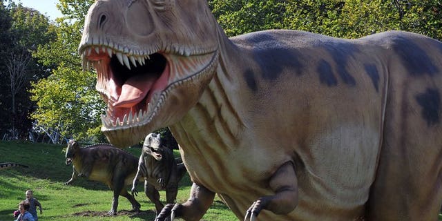 Young visitors run past dinosaurs during an open-air exhibition in Kiev in September, 2010. One in four Australians believe humans co-existed with dinosaurs while one in three think it takes just one day for the Earth to orbit the sun, according to a "worrying" survey published Wednesday.