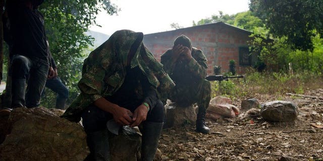 FARC guerrillas in the rural area of Caloto, Colombia, on June 4, 2013. The leftist rebels said they captured a US soldier last month and are offering his release as a "gesture" toward peace with Bogota.