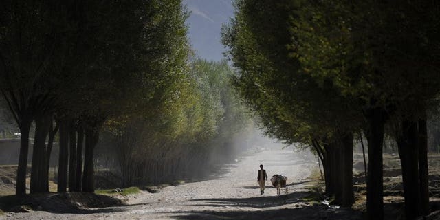 A villager walks with a donkey in Afghanistan's Badakhshan province, on October 5, 2012. A suicide bomber has riden a donkey into an Afghan and NATO military convoy, killing three Western soldiers and their Afghan interpreter, officials said.
