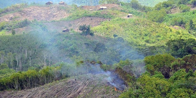 An area of forest being is burned down in the village of Ned near Blit in the Philippines on August 9, 2009. The United States will help preserve the Philippines' rapidly vanishing tropical rainforests under a $31.8-million debt-to-aid conversion signed in Manila, the two governments said.