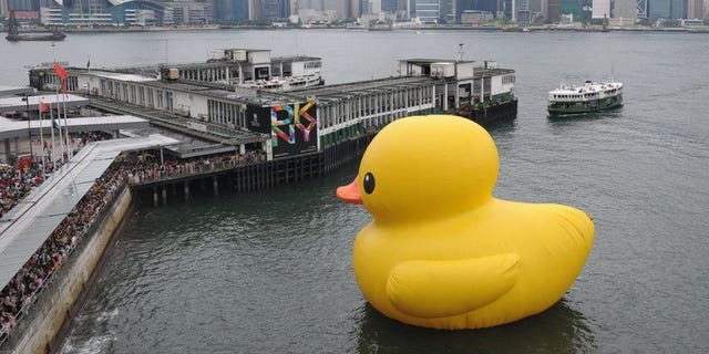 Thousands of people crowd the waterfront to see a giant duck conceived by Dutch artist Florentijn Hofman, in Hong Kong on June 9, 2013. Taiwan's second largest city has announced plans to display a larger version of the giant inflatable yellow duck that captivated Hong Kong -- upstaging similar plans by another city on the island.