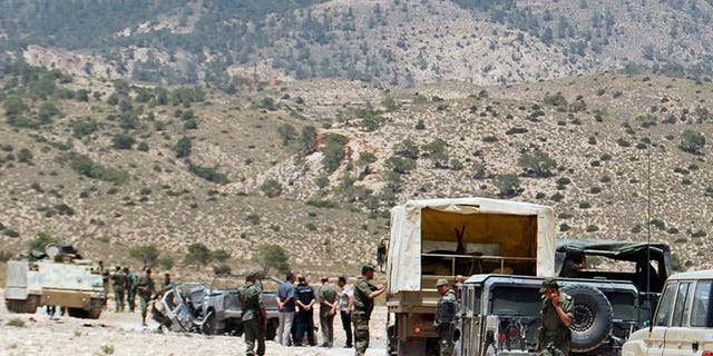 The Tunisian army stands guard in the mountainous border region near Algeria on June 6, 2013. Tunisia's army on Monday bombarded suspected jihadist positions in a rugged mountain range near the Algerian border, as it kept up operations against Islamists following a deadly ambush on troops.