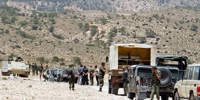 The Tunisian army stands guard in the mountainous border region near Algeria on June 6, 2013. Tunisia's army on Monday bombarded suspected jihadist positions in a rugged mountain range near the Algerian border, as it kept up operations against Islamists following a deadly ambush on troops.