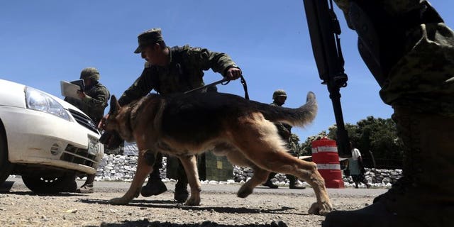 A member of the Mexican Army inspects a vehicle at a checkpoint on the road to Tlacotepec in Eduardo Neri municipality, Mexico, on August 2, 2013. The Mexican government announced Saturday that Mario Ramirez Trevino, leader of the Gulf drug cartel in the north of the country, and wanted in the United States, had been arrested.