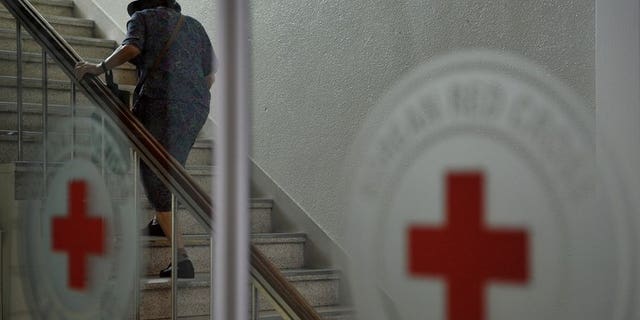 An elderly woman heads to the Red Cross office in Seoul to beg for a place in the family reunions programme, on August 27, 2013. South Korea urged North Korea to review its decision to postpone a reunion for families separated by the Korean War, saying it had "deeply wounded" those chosen to participate.