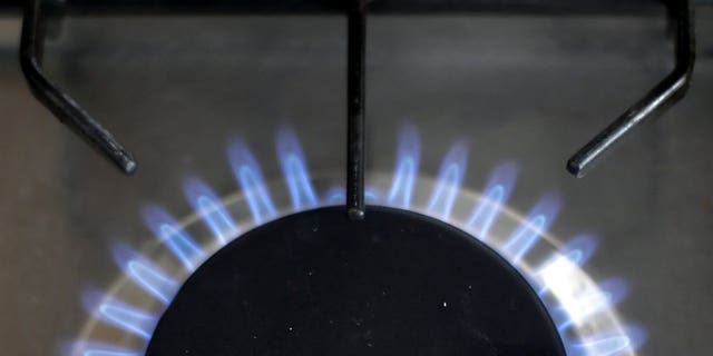 British energy firm Centrica has said that it will shelve two key gas storage projects in Britain at a cost of ??240 million ($385 million).