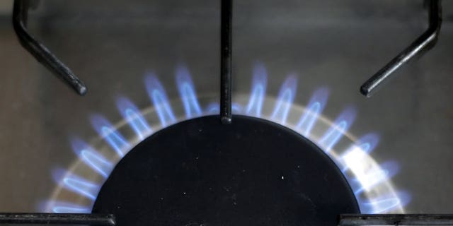 British energy firm Centrica has said that it will shelve two key gas storage projects in Britain at a cost of ??240 million ($385 million).