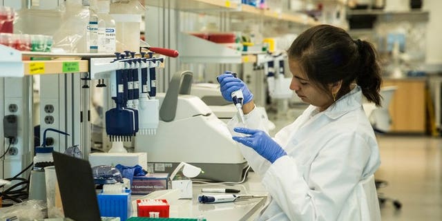 Research technicians prepare DNA samples to be sequenced in the production lab of the New York Genome Center on September 19, 2013. A former prisoner's legal challenge to a police request for him to provide DNA samples was rejected by the High Court in London on Tuesday.