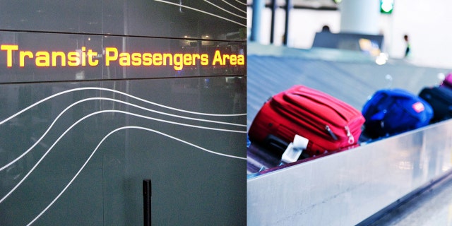 It remains unclear whether the Sheremetyevo traveler was injured in the baggage carousel accident.