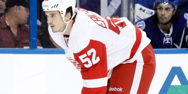 Dec 12, 2013; Tampa, FL, USA; Detroit Red Wings defenseman Jonathan Ericsson (52) against the Tampa Bay Lightning during the first period at Tampa Bay Times Forum. Mandatory Credit: Kim Klement-USA TODAY Sports