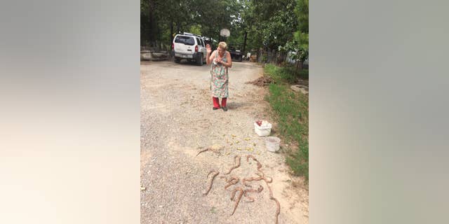 The woman, identified as Mrs. Newby, killed 11 copperheads near her house, according to a now-deleted Facebook post.