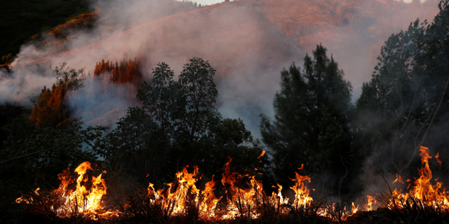 Voluntary evacuations were ordered following a wildfire in Big Bear, California. In 2016 alone, 5,762 wildfires burned in California, according to CA.gov.
