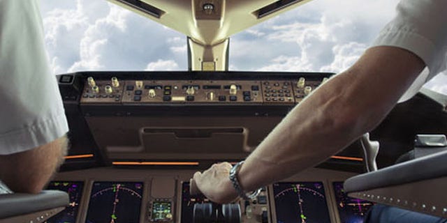 A New York-bound flight was reportedly delayed for more than two hours as the pilot waited for a sandwich to be delivered to him.