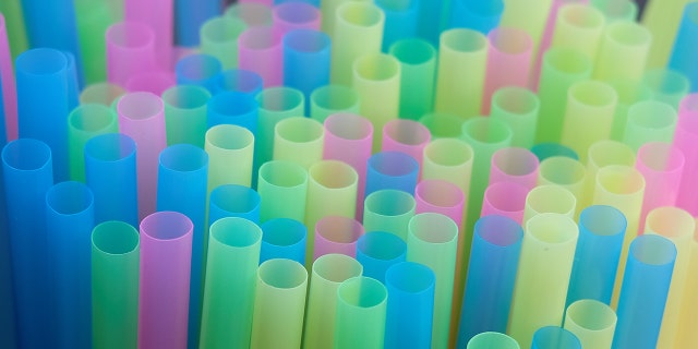 City councils in places like Malibu and Seattle have already voted to ban plastic drinking straws.