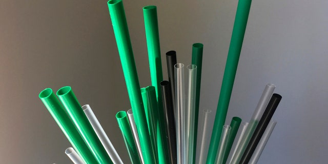 The European Union is proposing bans on plastic products like cotton buds, straws, stirs and balloon sticks when alternatives are easily available in an attempt to cut marine litter.
