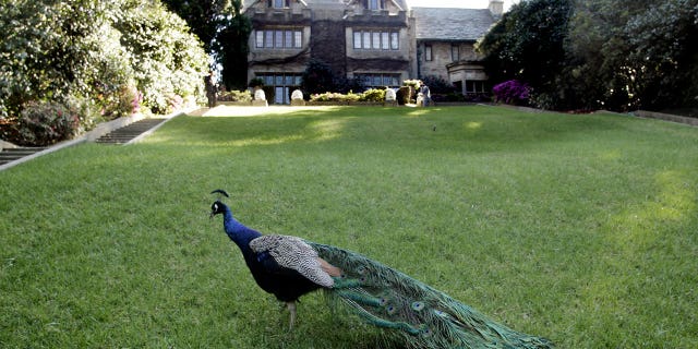 The Playboy Mansion, which sits on five acres of land, was also home to its own zoo.