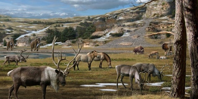 The Arctic had much more diverse flora than previously thought during the Pleistocene Era