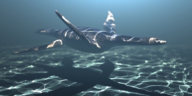 Ancient marine reptiles called plesiosaurs likely swam like penguins, relying on their front flippers for forward propulsion.
