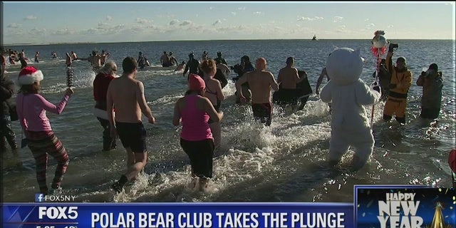Hundreds took part in the Polar Bear Plunge, which has been a tradition since 1903. The money raised this year will go to the Alliance for Coney Island and the New York Aquarium.