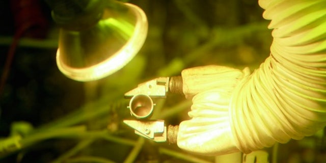 Scientists mixed neptunium oxide with aluminum and pressed the result into pellets. They then irradiated the pellets to create neptunium-238, which decayed quickly into plutonium-238.