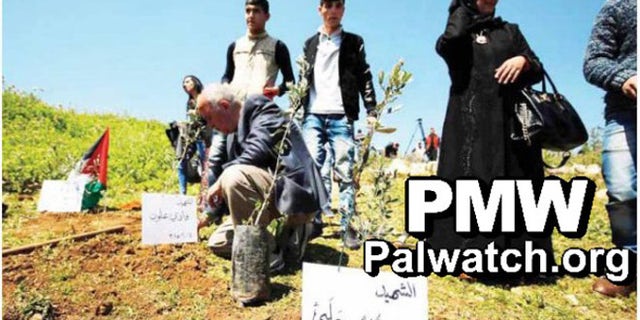 The black-clad mother of Muhannad Halabi, who killed two and wounded a toddler, stands as a tree is dedicated in his name.