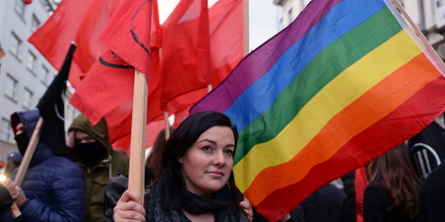 One of the demonstrators taking part in Saturday's counter-march