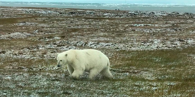 More than 2,000 people visited the northern Alaska village of Kaktovik, up from less than 50 (annually) before 2011.