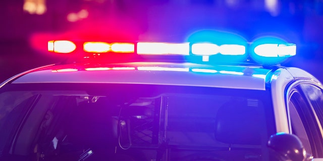 The roof of a police patrol car at night, with the blue and red lights flashing.