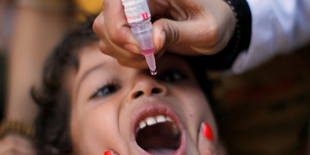 Children in war-torn Yemen receive the polio vaccine drops.