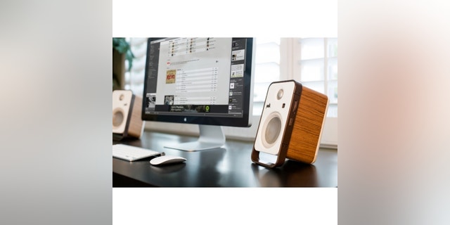 Polk Hampden speakers.