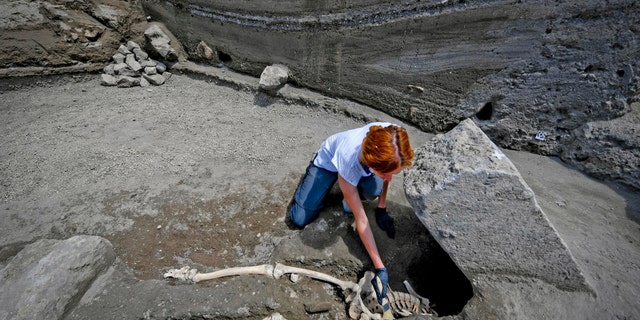 Anthropologist Valeria Amoretti works with a brush on a skeleton of a victim of the eruption of Mt. Vesuvius in A.D. 79, which destroyed the ancient town of Pompeii, at Pompeii' archeological site, near Naples, on Tuesday, May 29, 2018. (Ciro Fusco/ANSA via AP)