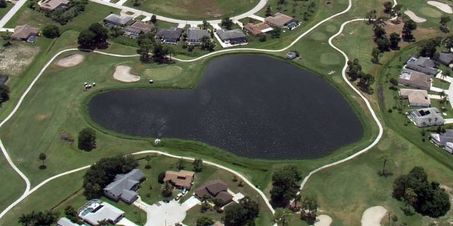 The view from SkyFOX showed a large alligator peering out from the pond while Florida Fish & Wildlife officers looked on.