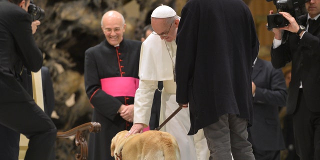 Pope Francis caresses a guide dog during a private audience to members of the media on March 16, 2013 at the Paul VI hall at the Vatican. Pope Francis called for "a poor Church for the poor", saying he chose his papal name because St Francis of Assisi was "a man of poverty and a man of peace". AFP PHOTO / ALBERTO PIZZOLI (Photo credit should read ALBERTO PIZZOLI/AFP/Getty Images)