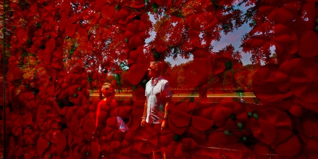 The United Services Automobile Association is teaming up with the Veterans of Foreign Wars to bring life to those memories. The Poppy Memorial is a larger-than-life structure put together on the National Mall. It is 133 feet long and 8 1/2 feet tall.