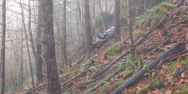 The vintage Porsche was discovered by a man walking his dog in the woods.