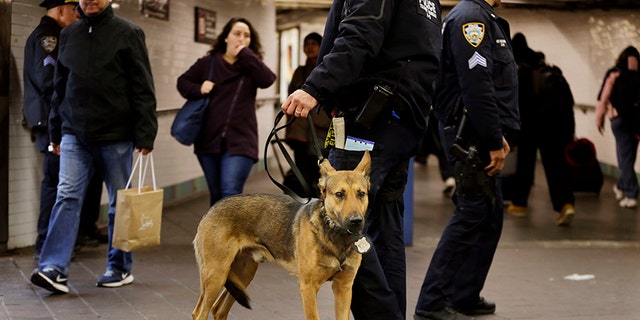 Police officers and a police dog patrol after a terrorist struck Port Authority with a homemade bomb.