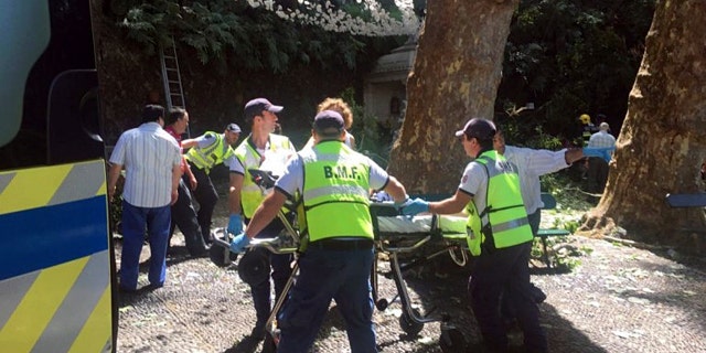 Emergency services move an injured person to an ambulance after a tree fell on a a large crowd gathered as part of a traditional religious festival in the outskirts of Funchal, the capital of Madeira island, Portugal.