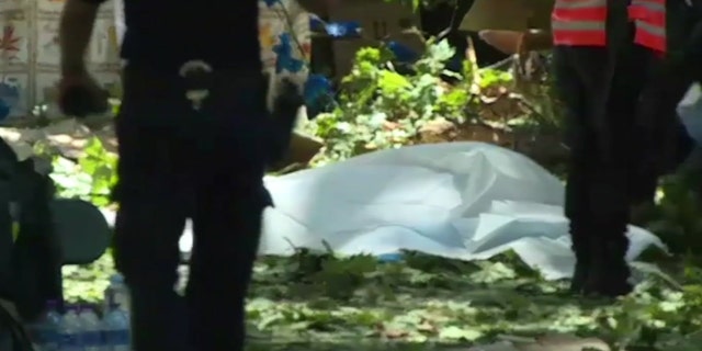 A body lies on the covered on the ground after a falling tree killed people near Funchal on the island of Madeira Portugal in this image taken from video Tuesday Aug.15, 2017.