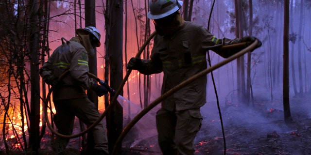 Portuguese National Republican Guard firefighters work to stop a forest fire from reaching the village of Avelar, central Portugal, at sunrise Sunday, June 18 2017.