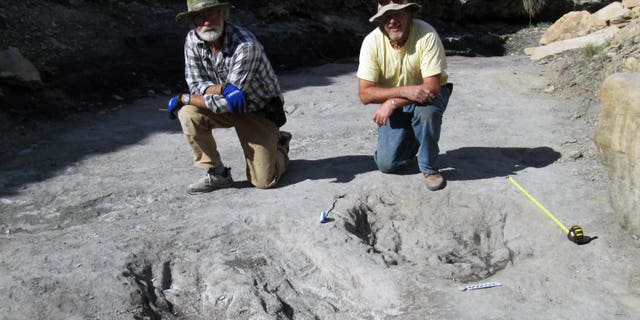 Team leader Martin Lockley (right) and co-author (Ken Cart) kneel beside two large Cretaceous-age scrapes from western Colorado that are the first physical-reported evidence that large theropod dinosaurs engaged in courtship behavior.