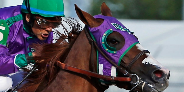 In this May 3, 2014, file photo, jockey Victor Espinoza rides California Chrome to win the 140th running of the Kentucky Derby horse race at Churchill Downs in Louisville, Ky. Chrome might abandon his Triple Crown bid if New York officials do not allow the colt to wear a nasal strip in the Belmont Stakes.