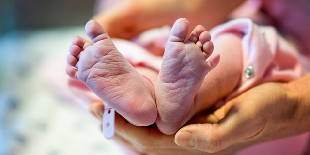 A newborn baby feet and hands of mother holding them tenderly