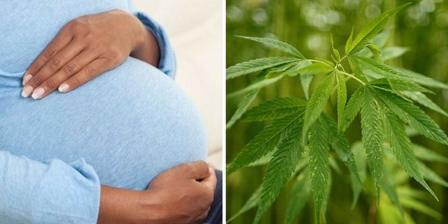 Smoking marijuana was on the rise among pregnant women in California, a study showed. 