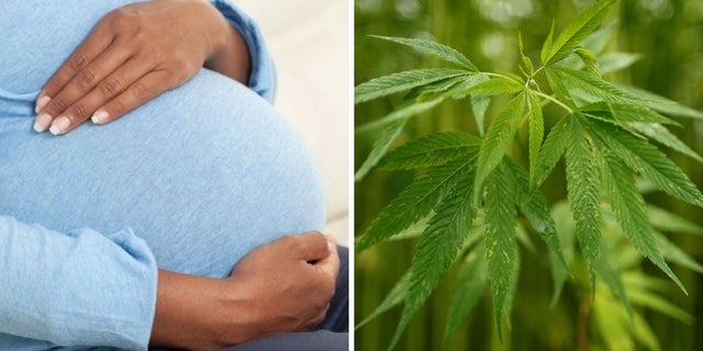 Smoking marijuana was on the rise among pregnant women in California, a study showed.