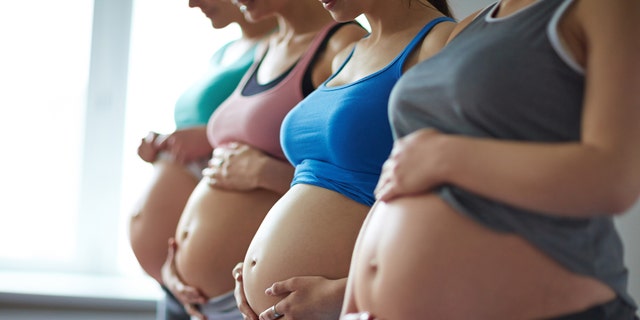 Young pregnant women standing in row