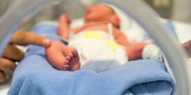 premature baby preterm birth istock large