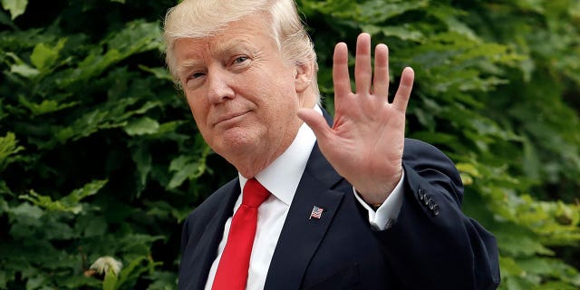 president donald trump