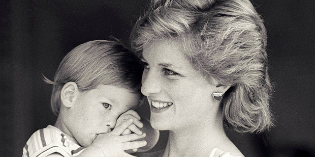 Prince Harry Will Open A Hospital In Africa Named After Late Mom