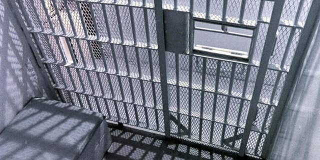The picture shows prison bars